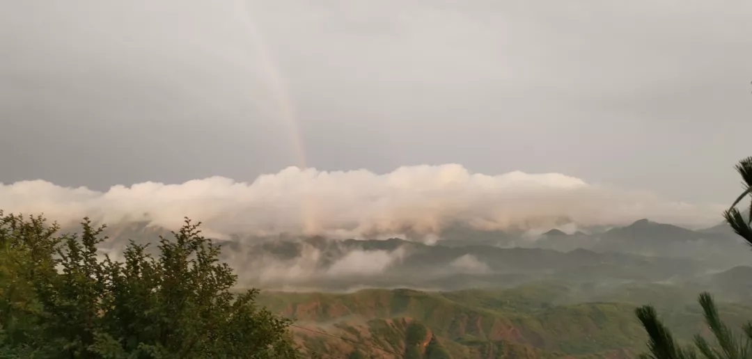 1565580931106693.jpg 640.webp (15).jpg