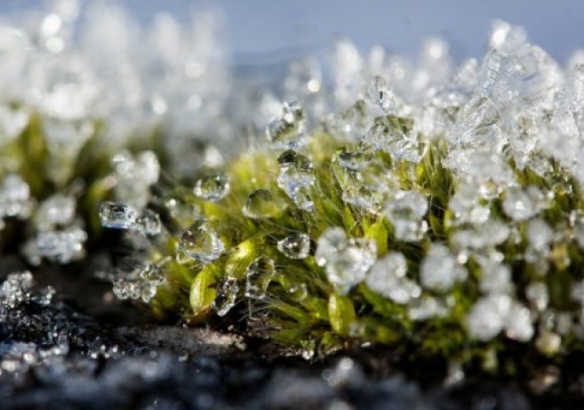 冬春過渡中年人穿鞋悶腳如何是好？什么鞋子保暖又透氣？