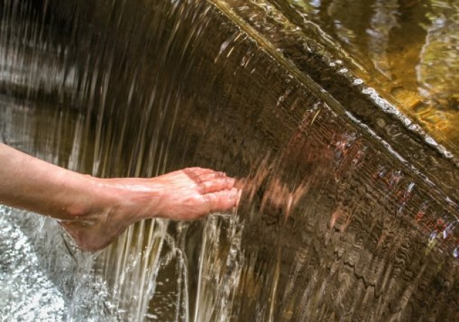 艾葉泡腳的方法-用艾草泡腳時，要記住禁忌哪些，很多人不懂，總是泡錯？